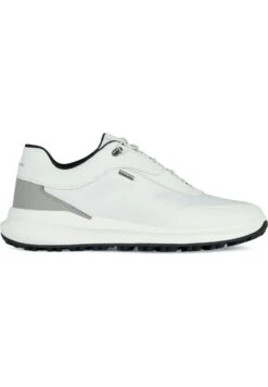 Geox Sneakers Basse - White