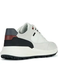 Geox Sneakers BasseOff White Uomo Sneaker GE112O0LN-A11 -Geox Offerte Negozio 34af32abdf9c421299d29233c3c85c6a