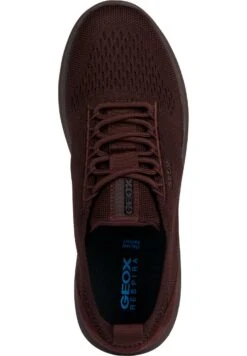 Geox Sneakers BasseWine Donna Sneakers GE111A0XC-G11 -Geox Offerte Negozio 3e9edacd2b204fcda6d00e598c64026f