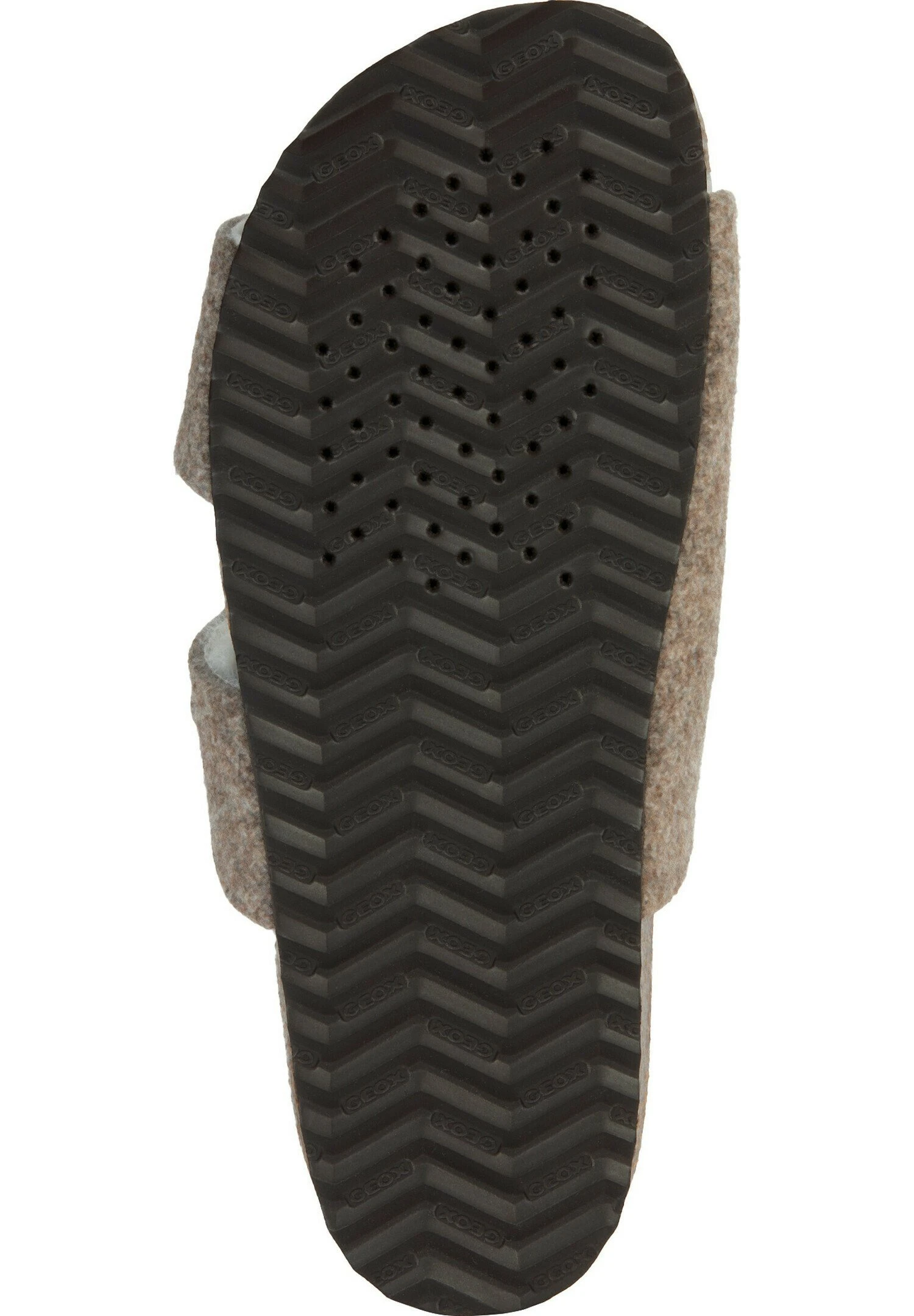 Geox BrioniaCiabattineDark Taupe Donna Ciabatte E Zoccoli GE111A1B5-B11 5 Geox BrioniaCiabattineDark Taupe Donna Ciabatte E Zoccoli GE111A1B5-B11 - immagine 5