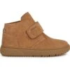 Geox J ThelevenSneakers AlteCaramel Bambini Sneakers GE114I02Y-O11