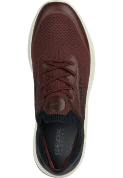 Geox U Spherica Actif - Sneakers Basse - Wine Black -Geox Offerte Negozio 7a87eaceaec2464dbb426b6820f730b4