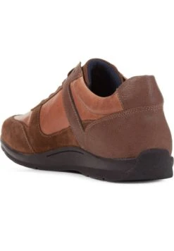 Geox Adrien - Sneakers Basse - Brown -Geox Offerte Negozio 843e398c98fb43cb839e08d3452252bb