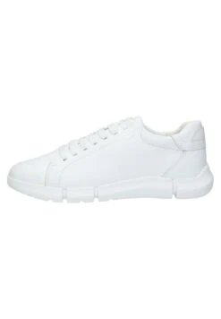 Geox Uomo - Sneakers Basse - Bianco