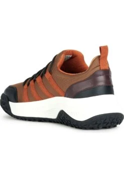 Geox Oliviera Grip - Sneakers Basse - Beige Black 11 Geox Oliviera Grip - Sneakers Basse - Beige Black -Geox Offerte Negozio fc2b757b69a54f568084af8475b06f09